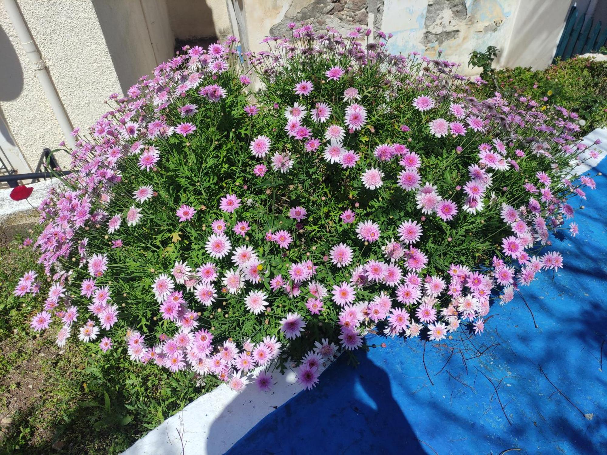 הוילה Poros Town Sunrise View House מראה חיצוני תמונה